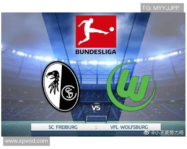 弗赖堡主场平沙尔克,宝贵分数让球迷鼓舞 弗赖堡主场平沙尔克,宝贵分数让球迷鼓舞