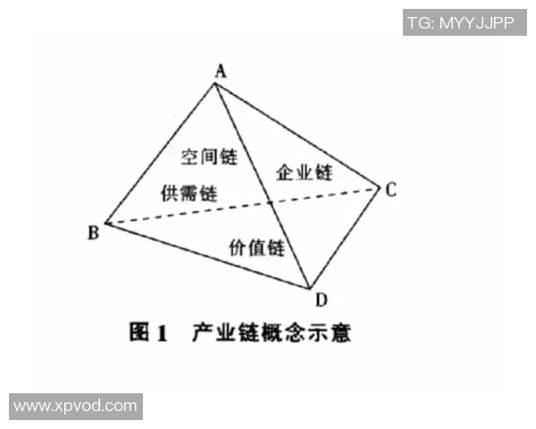 武汉攀岩队战术对比深度解析与未来发展趋势探讨