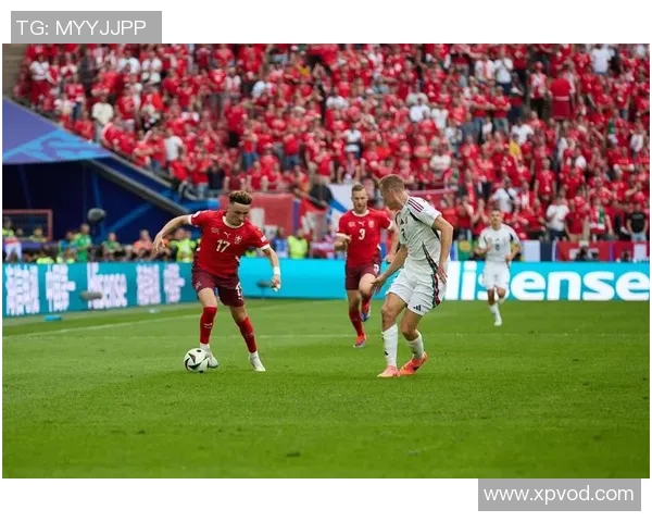 欧洲杯热身赛结果揭晓，球队士气高涨