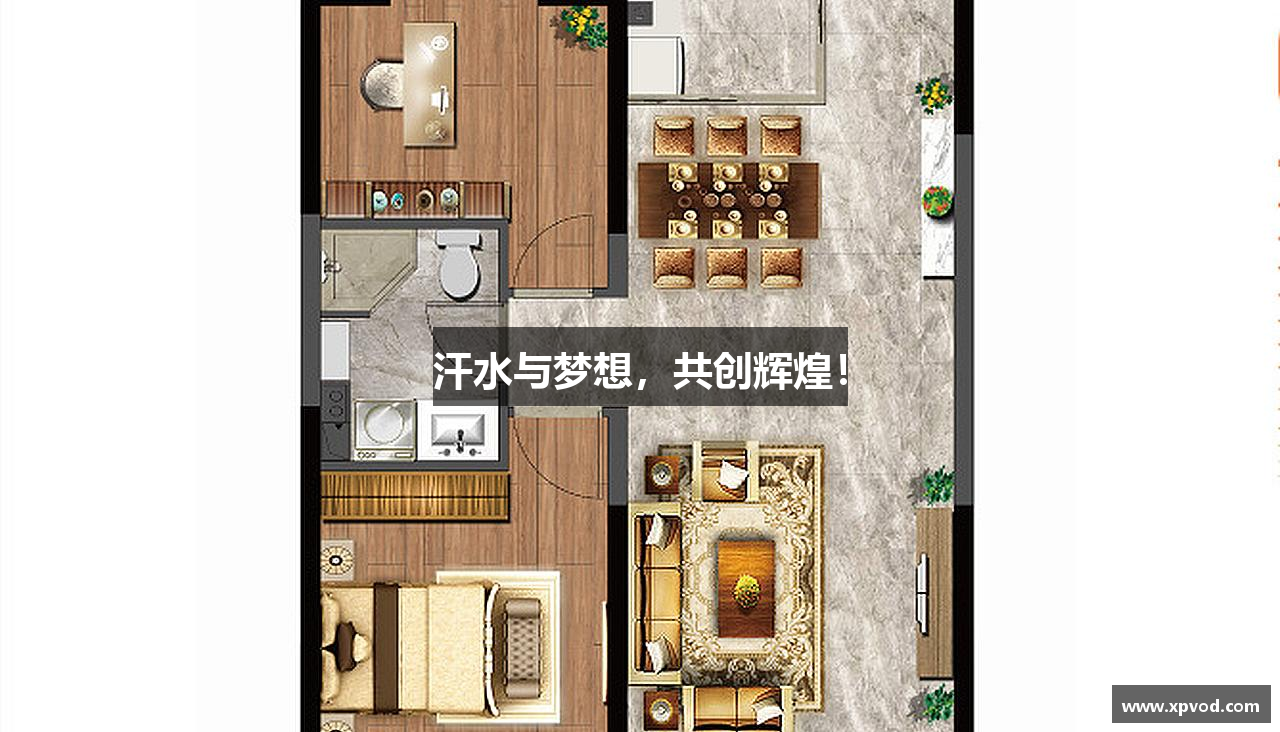 不朽情缘官网汗水与梦想，共创辉煌！